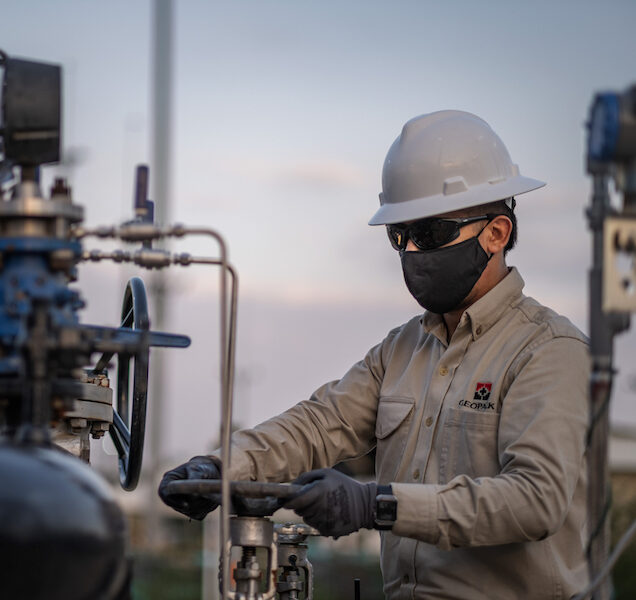 Sistema de Gestión de Salud y Seguridad