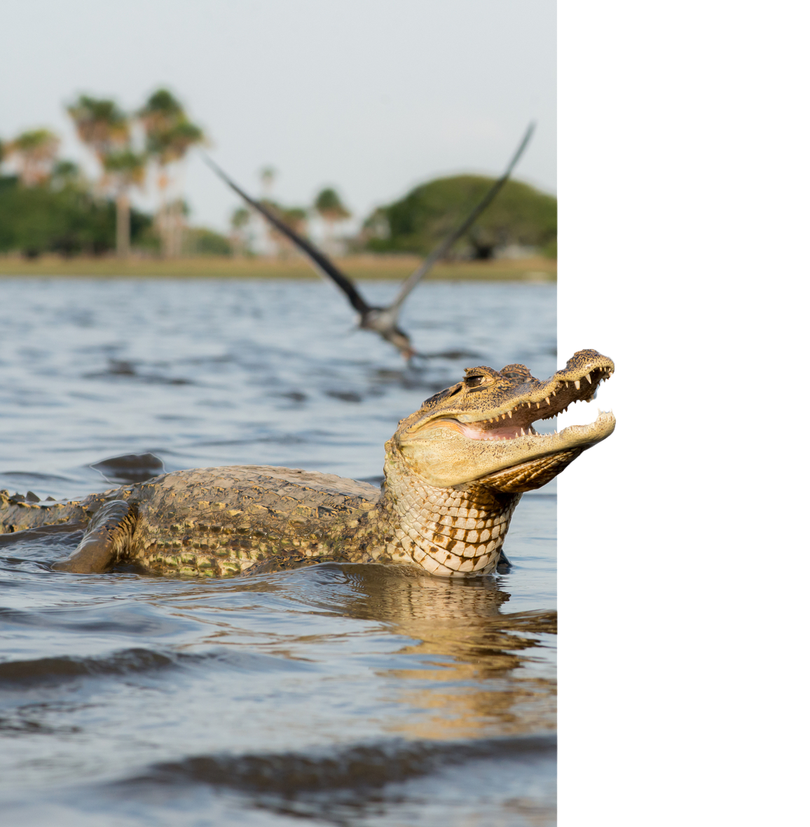 Environmental Management System