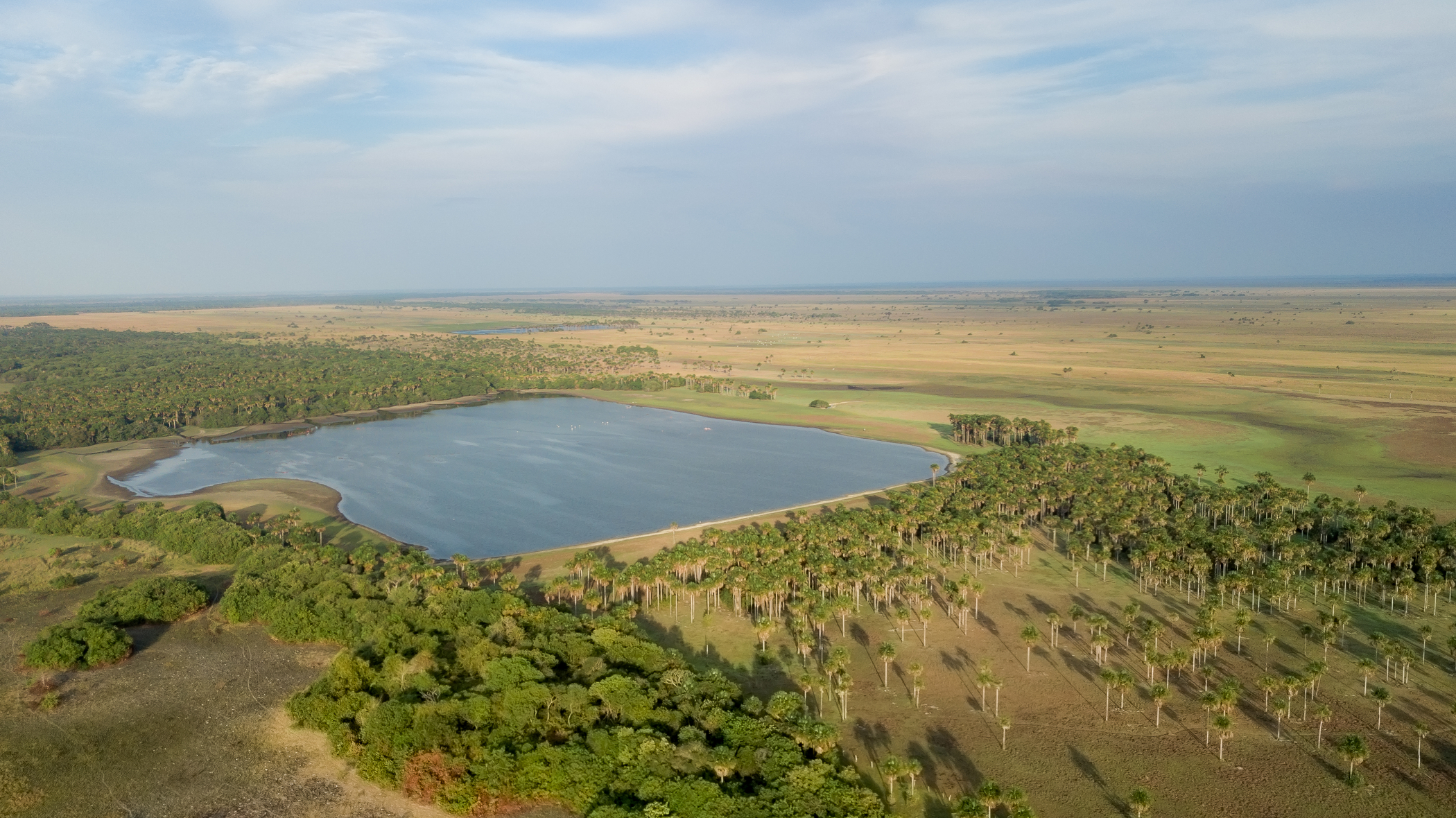 SOLUCIONES BASADAS EN LA NATURALEZA