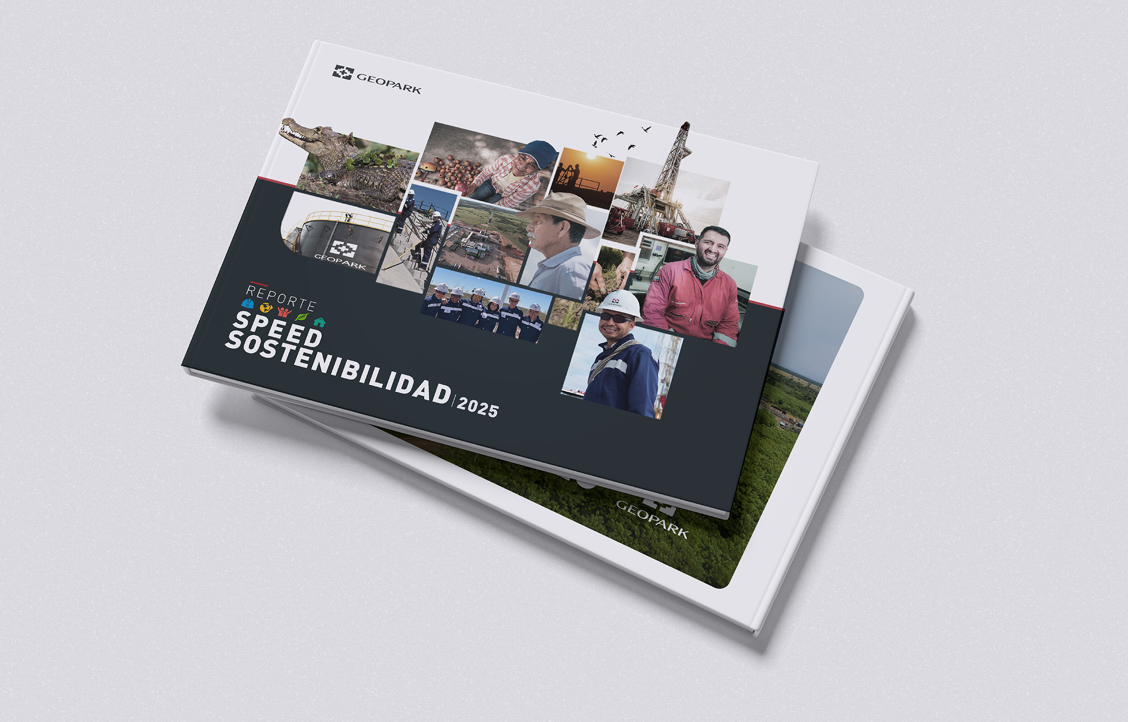 Reporte SPEED/Sostenibilidad 2025